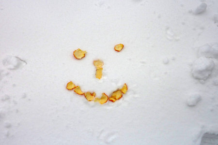 Orange smiley in the snowの写真素材