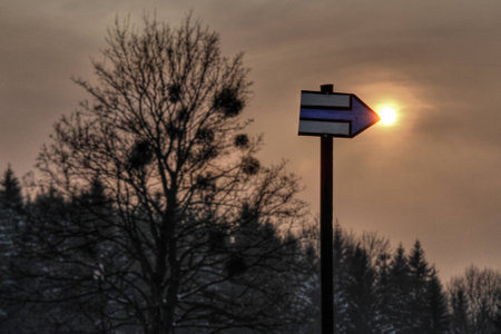 Signpostの写真素材