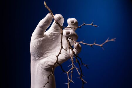 Dry prickly branch in a white hand. White hand holds a plant with thorns on a blue backgroundの写真素材