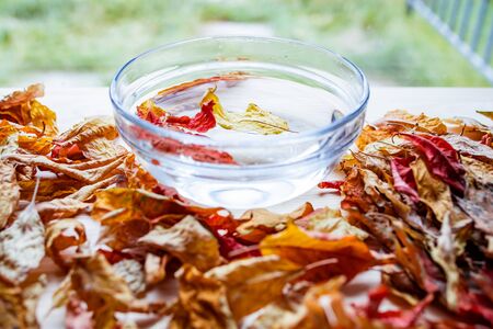 Bright autumn leaves float in water in a glass transparent bowl standing on a wooden tableの写真素材