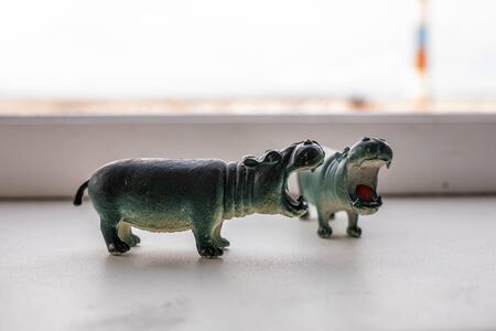 little hippo figures are standing by the windowの写真素材