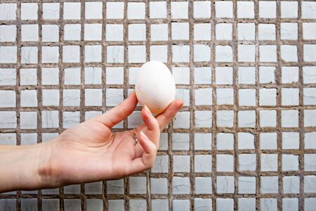 human hand holds white chicken egg on tile background.の写真素材