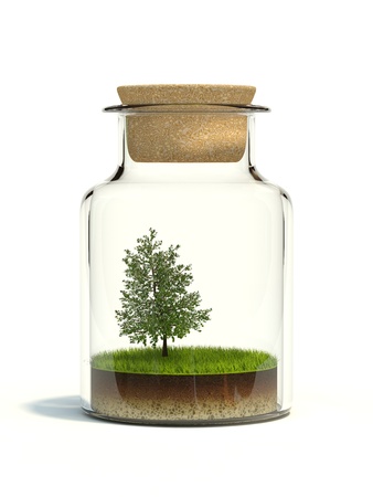 Tree on grass in the bottle isolated on whiteの写真素材