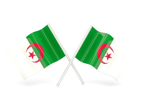 Two wavy flags of algeria isolated on whiteの写真素材