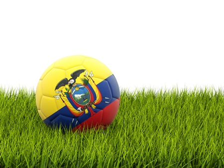 Football with flag of ecuador on green grassの写真素材