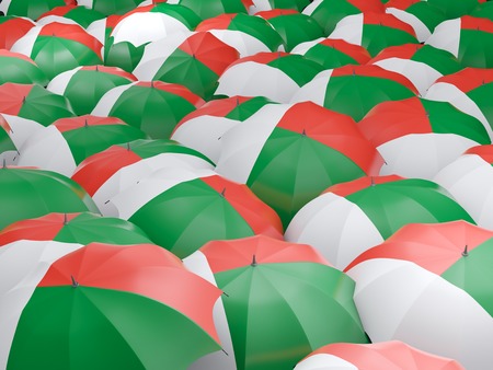 Flag of madagascar on umbrella. 3D illustrationの写真素材
