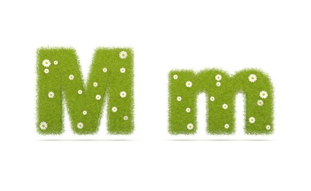Natural green grass with camolines font. Letters M m. 3D illustrationの写真素材