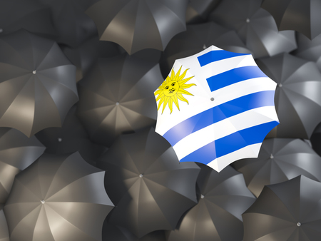 Umbrella with flag of uruguay on top of black umbrellas. 3D illustrationの写真素材