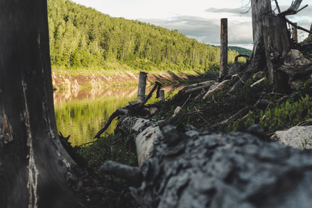 Riverside of Tyrma river at sunset. Amur regionの写真素材