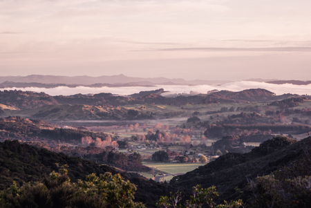 Country side in the morning. Hiking in New Zealand, North Island