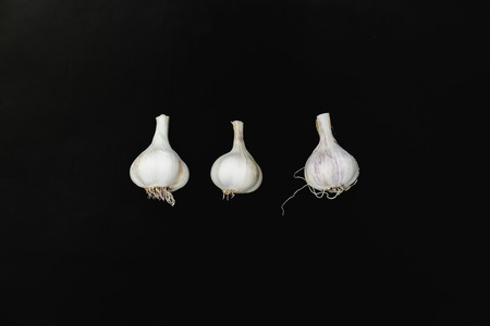 White garlic. Flat lay with black backgroundの写真素材