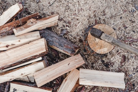 Firewood and campfire on riverside at evening, Bureya river