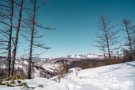 Winter mountain landscape with white snow and blue sky. Komsomolsk-on-Amur, Russia