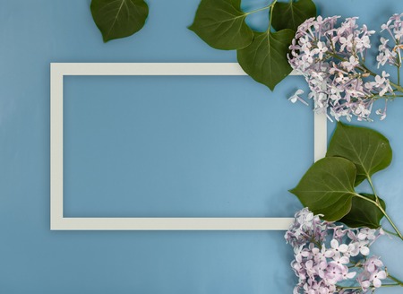 Creative layout made with  flowers on bright blue background. Flat layの写真素材