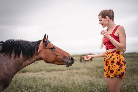 Portrait of smiling woman and brown horseの写真素材
