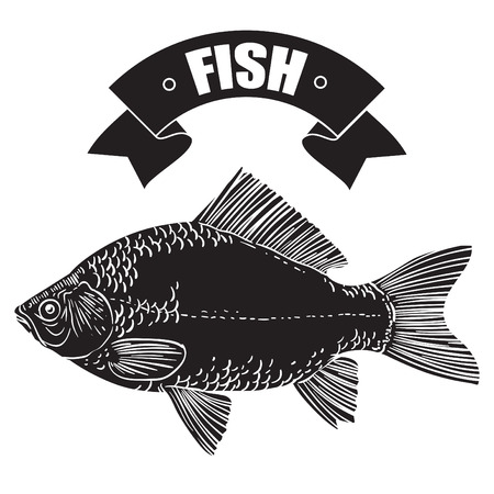 vector fishのイラスト素材