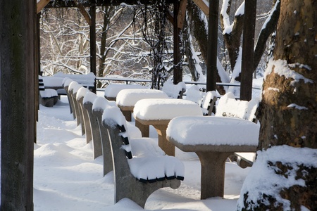 Central Park, New York. Beautiful park in beautiful city. の写真素材