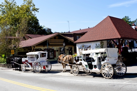 Horses with carriages infront of village houseのeditorial素材