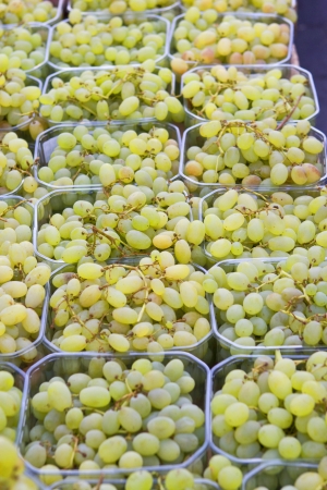 Grapes on Saleの写真素材