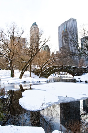 Gapstow Bridge in front of Manhattan skyscrapers.の写真素材