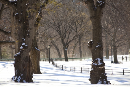 Central Park, New York. Beautiful park in beautiful city. の写真素材