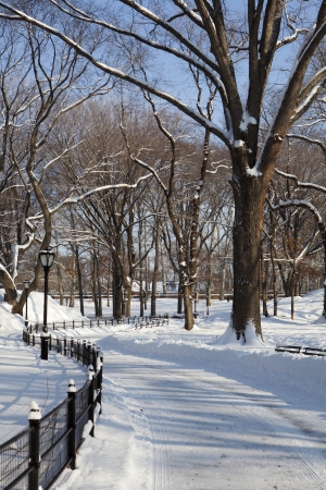 Central Park, New York  Beautiful park in beautiful city  の写真素材