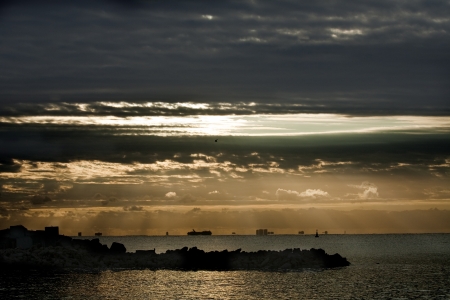 Pelicans on rock in the very eally morning の写真素材