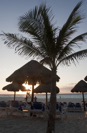 Sunchairs and umbrellas on Carribean Beachの写真素材