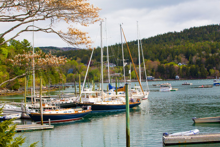 Acadia National Park. Maine.のeditorial素材