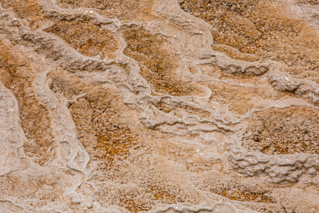 Mammoth Hot Springs. Yellowstone National Park