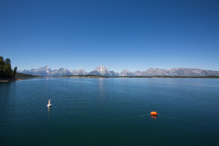 Grand Teton National Parkの写真素材