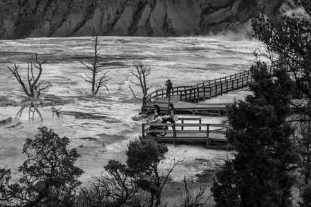 Mammoth Hot Springs. Yellowstone National Parkのeditorial素材