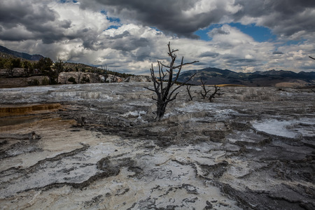 Mammoth Hot Springs. Yellowstone National Parkの写真素材