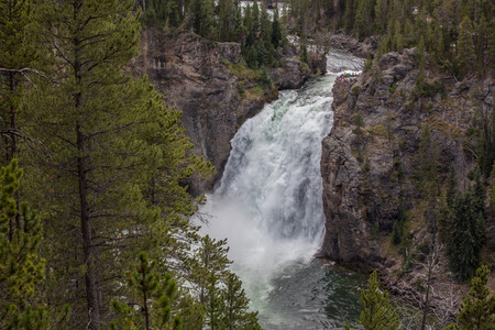 The Lower Falls at the Grand Canyon of the Yellowstoneの写真素材