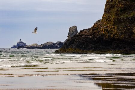 Cannon beach, Oregonの写真素材