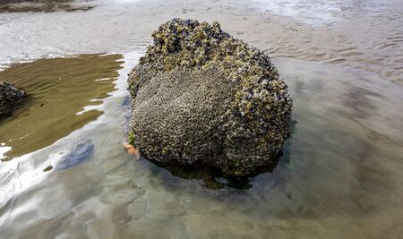 Cannon beach, Oregonの写真素材