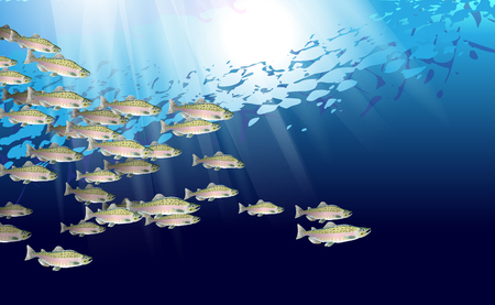 School of pink salmon fish. Marine life. Vector illustration optimized from to be used in background design, decoration.のイラスト素材