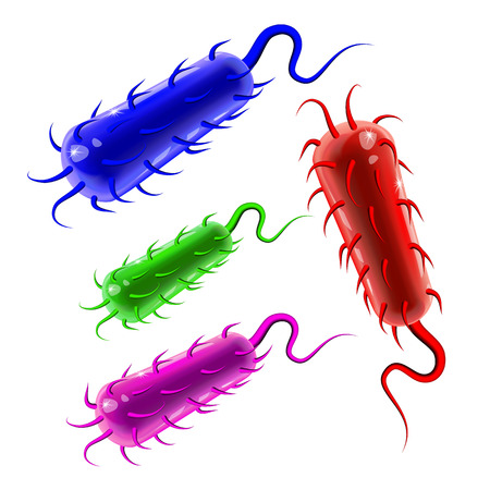 Multicolored plastic rod-shaped bacillus bacteria with fimbriae and flagellums toys. Glossy and vibrant vector illustration isolated on light background. Cell of a gram positive bacterium wholeのイラスト素材