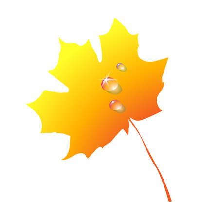 Gradient autumn leaf. Silhouette foliage maple autumnal yellow and orange colors, icon isolated on white background. Nature minimal abstract, digital art. Vector illustration Eps 10.のイラスト素材
