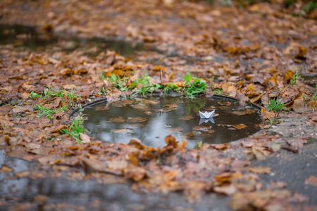 paper boat floating in a puddle.の写真素材