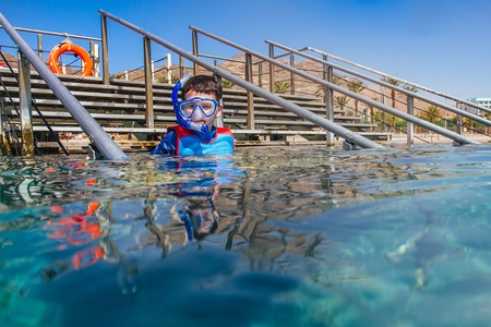 kid before Snorkeler diving along the brain coralの写真素材