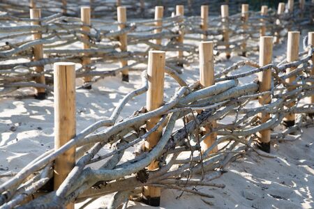 Sand dunes, sea sand dune wood fence.