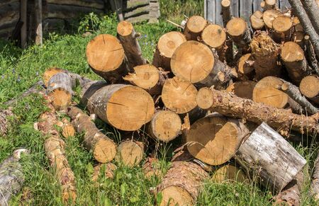 A pile of sawn trunks of old trees on the grass for home use close-up.