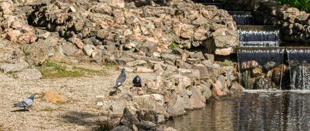 Small Water Cascade In The City Park in sunny day.の写真素材