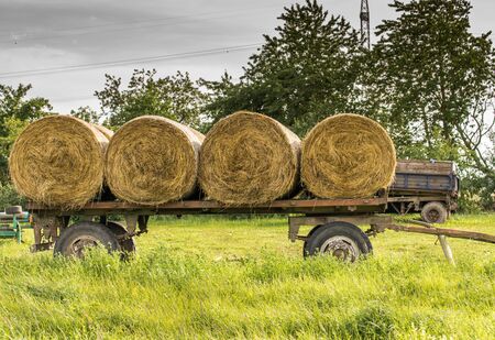 Hay rolls piled on a tractor trailer. Agricultural work.の写真素材