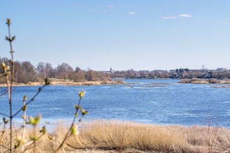 View of the opposite bank of the river in early spring on a sunny day.