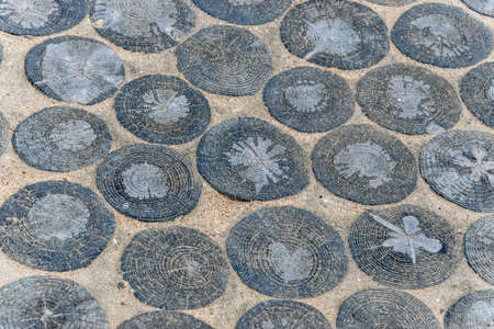 Pathway of wooden round logs. Garden architecture, pathway accessory
