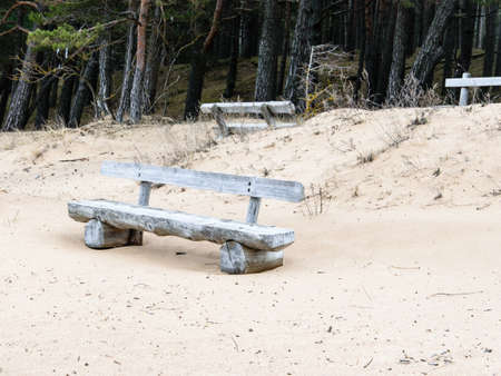 Wooden benches in the sand dunes on the shores of the Baltic Sea