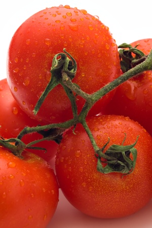 Fresh red tomatoes on a branch with water dropsの写真素材