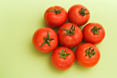 fresh tomatoes on green background